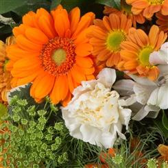 Milands Posy Arrangement