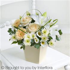 Heartfelt Wishes