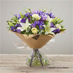 Purple Comfort Hand-tied Extra Large