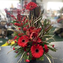 Amaryllis arrangement 
