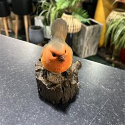 Robin on stump