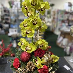 Orchid Arrangement 