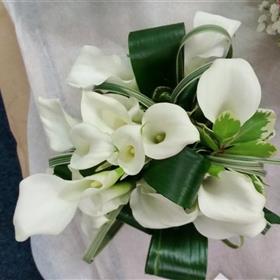 fwthumb20141025_100855.jpg