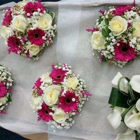 fwthumb20141025_100906.jpg