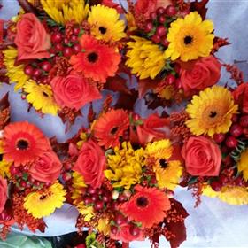 fwthumb20141026_113211.jpg