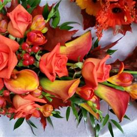 fwthumb20141026_113214.jpg