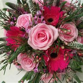fwthumb20150807_101545.jpg