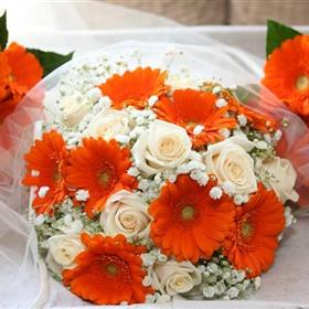 fwthumbFB_IMG_1474411415553.jpg
